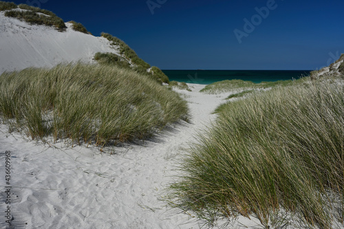 Fototapeta Naklejka Na Ścianę i Meble -  West Beach, Berneray, Outer Hebrides, Scotland. Path through sand dunes on approach to beach, sea in background with horizon. Dune grass, white sand. Sunny day with blue sky, no cloud. No people.