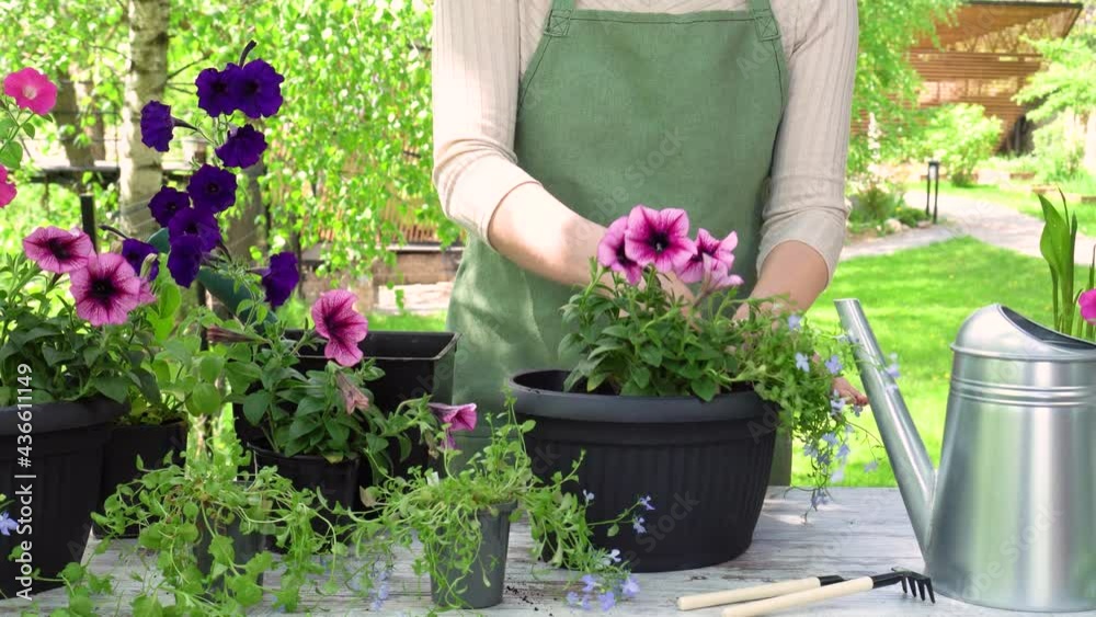 The gardener makes flower pots with green gloves. The gardener makes flower pots with green gloves.