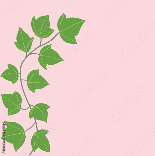 Simplicity ivy freehand drawing flat design.