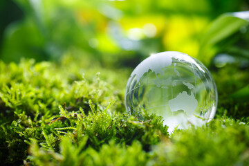 Glass globe nature concept