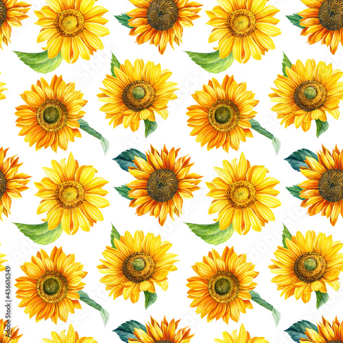 Fototapeta Naklejka Na Ścianę i Meble -  Floral Seamless pattern. Flowers sunflowers on a white background, hand-drawn. Watercolor illustration