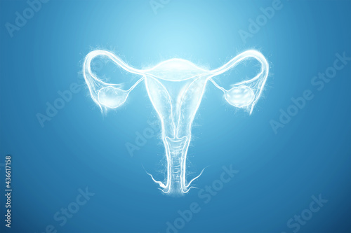 Hologram of the female organ of the uterus on a blue background. Ultrasound concept, gynecology, obstetrics, ovulation, pregnancy. 3D illustration, 3D render.