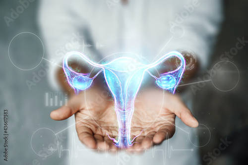 Doctor and hologram of the female organ of the uterus. Medical examination, women's consultation, ultrasound, gynecology, obstetrics, pregnancy, modern medicine. photo
