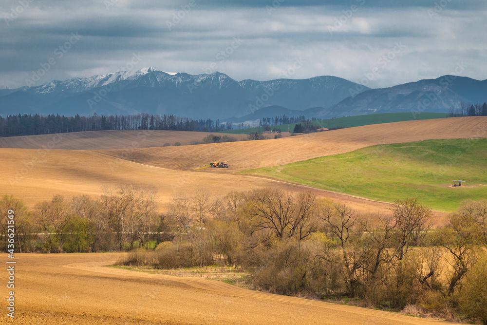 Rural spring landscape, agricultural fields with mountains on background.