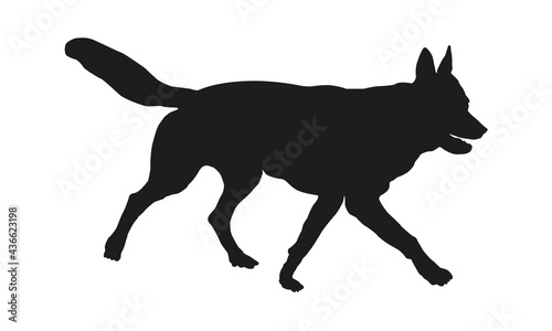 Running czechoslovak wolfdog puppy. Black dog silhouette. Pet animals. Isolated on a white background.