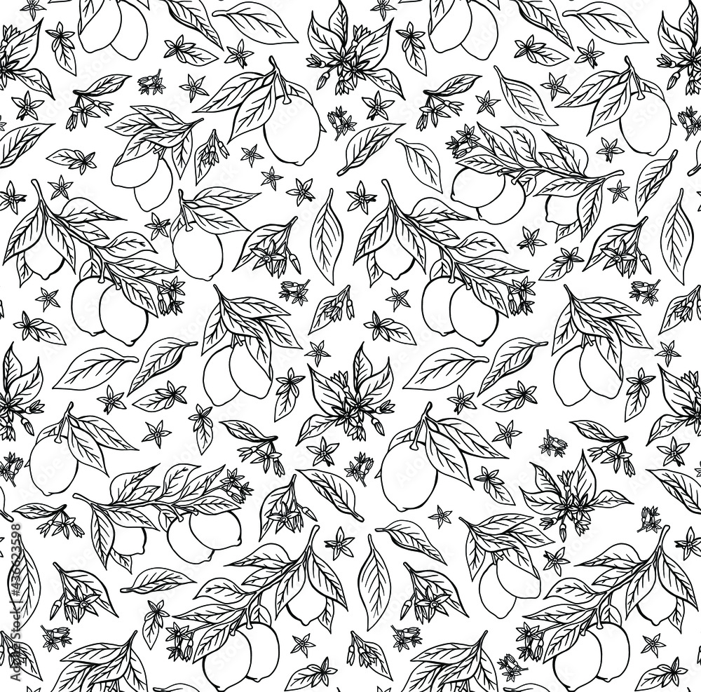 Seamless vector pattern with branches, fruits and flowers of citrus plants. Hand drawn lemons in quality texture for printing on fabrics and paper. Wallpaper with plants Seamless vector pattern with branches, fruits and flowers of citrus plants. Hand drawn lemons in quality texture for printing on fabrics and paper. Wallpaper with plants