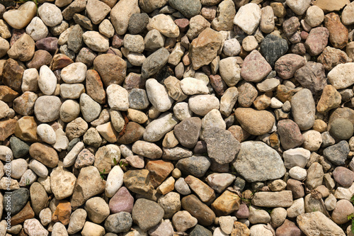 pebbles in the garden   a natural stones background texture