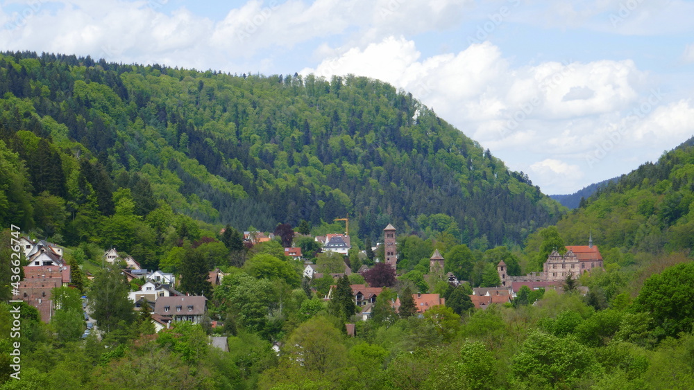 Panoramablick auf das ehemalige Kloster Hirsau
