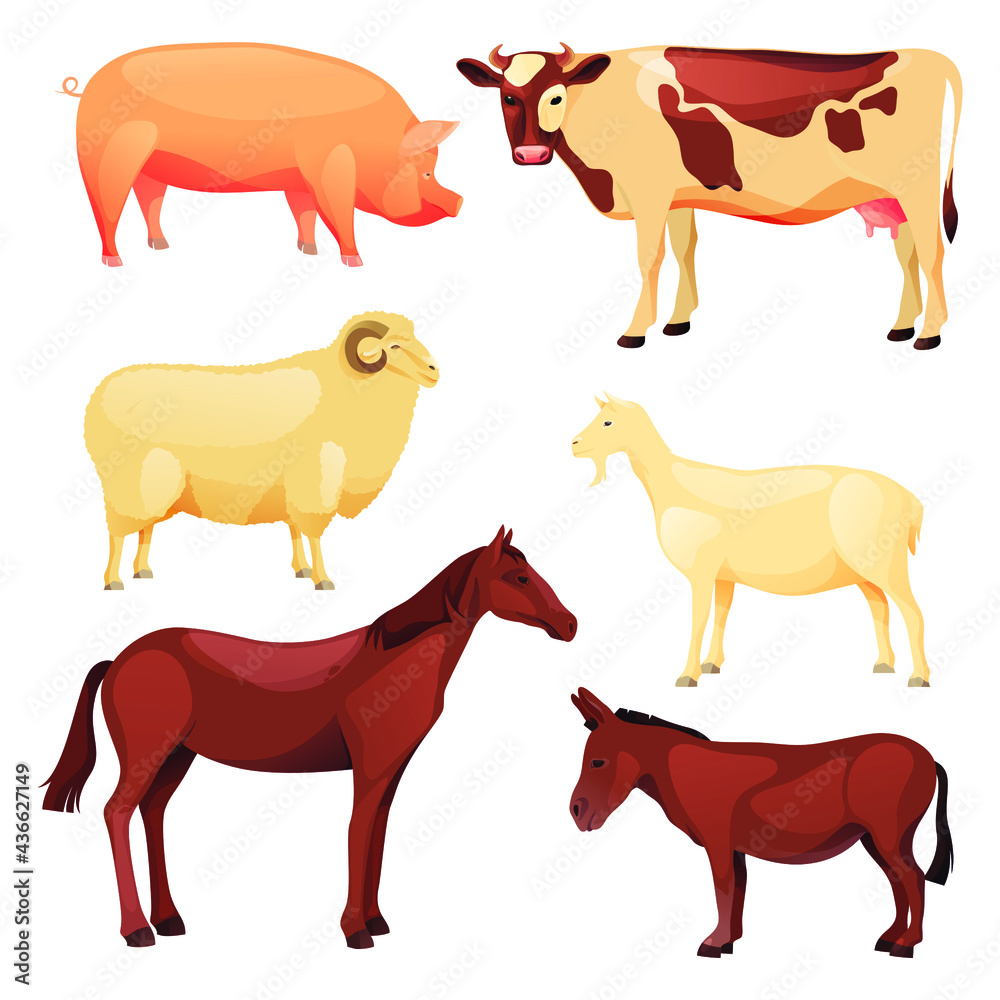 domestic, animal, farm animals, farm, stockbreeding, vector, illustration, icon, set, object, isolated, flat, design, group, element, sign, symbol, ram, goat, cow, horse, donkey, pig, lamb, livestock,