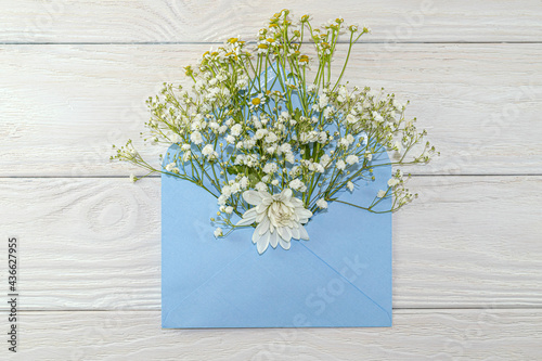 Blue envelope with small white daisies and gypsophila.Mockup in envelope on blue background top view in flat lay style.