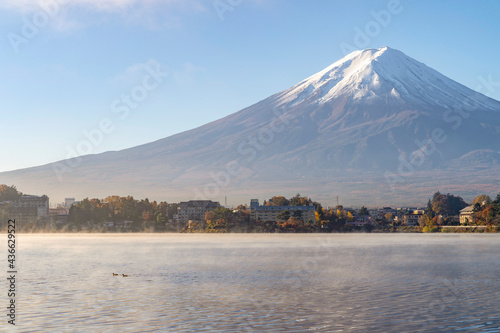 Japan Autumn Landscape and Mountain Fuji with morning fog and nature red maple leaves at lake Kawaguchiko near Tokyo is one of the best destination for travel tourism in Asia.