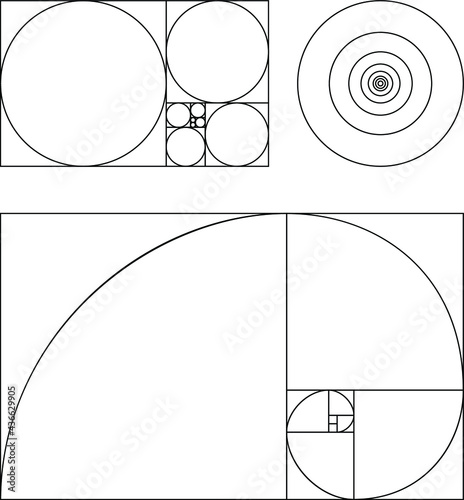 Golden Ratio vector. Fibonacci number. Circles in golden proportion isolated on white background