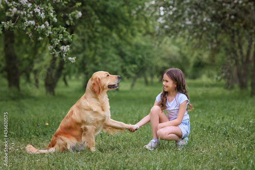 girl trains a dog. a dog gives a paw to a girl in the park