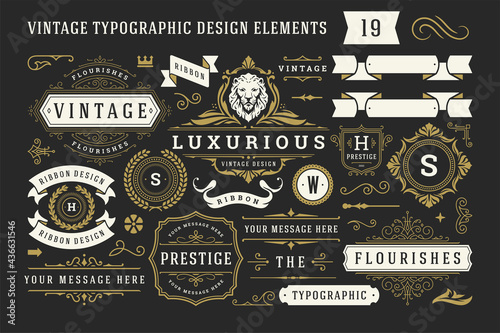 Vintage typographic decorative ornament design elements set vector illustration photo