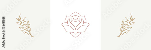 Rose tender natural blossom and twigs with blooming flower in boho linear style vector illustrations set