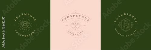 Flowers logos emblems design templates set with botanical plants and rose vector illustrations minimal line art style