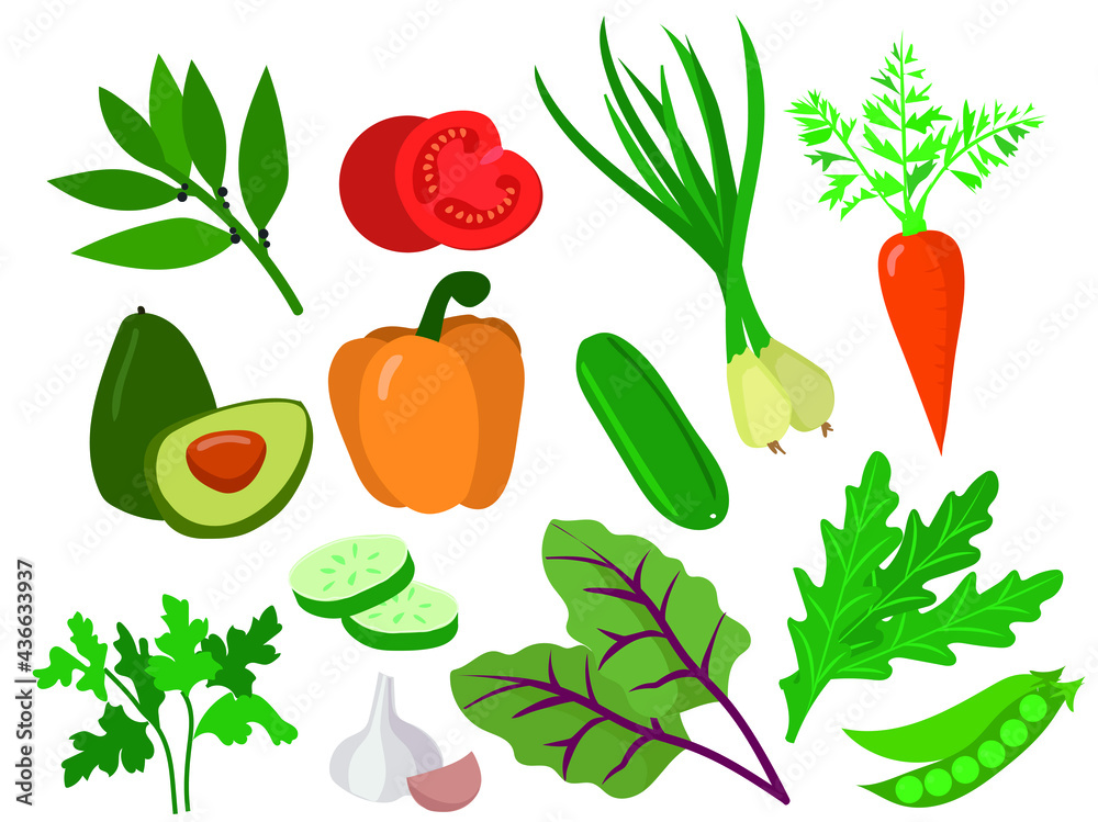 Vector image of a set of vegetables and herbs Vector image of a set of vegetables and herbs