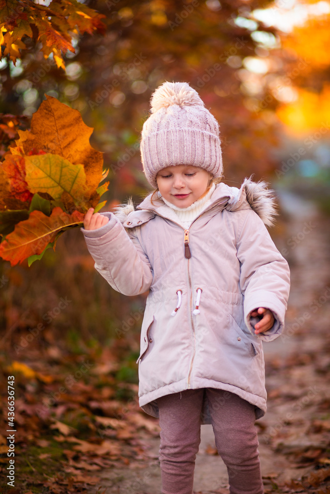baby girl in autumn park playing with leaves baby girl in autumn park playing with leaves