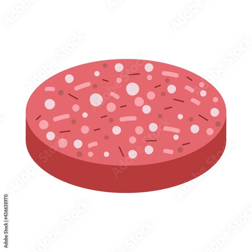 Bologna sausage icon. Bologna or Boiled Sausage icon. Meat Product Vector Illustration.