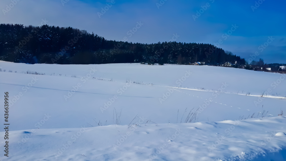 snow-covered village among snow-covered forest close-up 