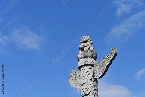 Canvas Print Stione Lion in the Sky