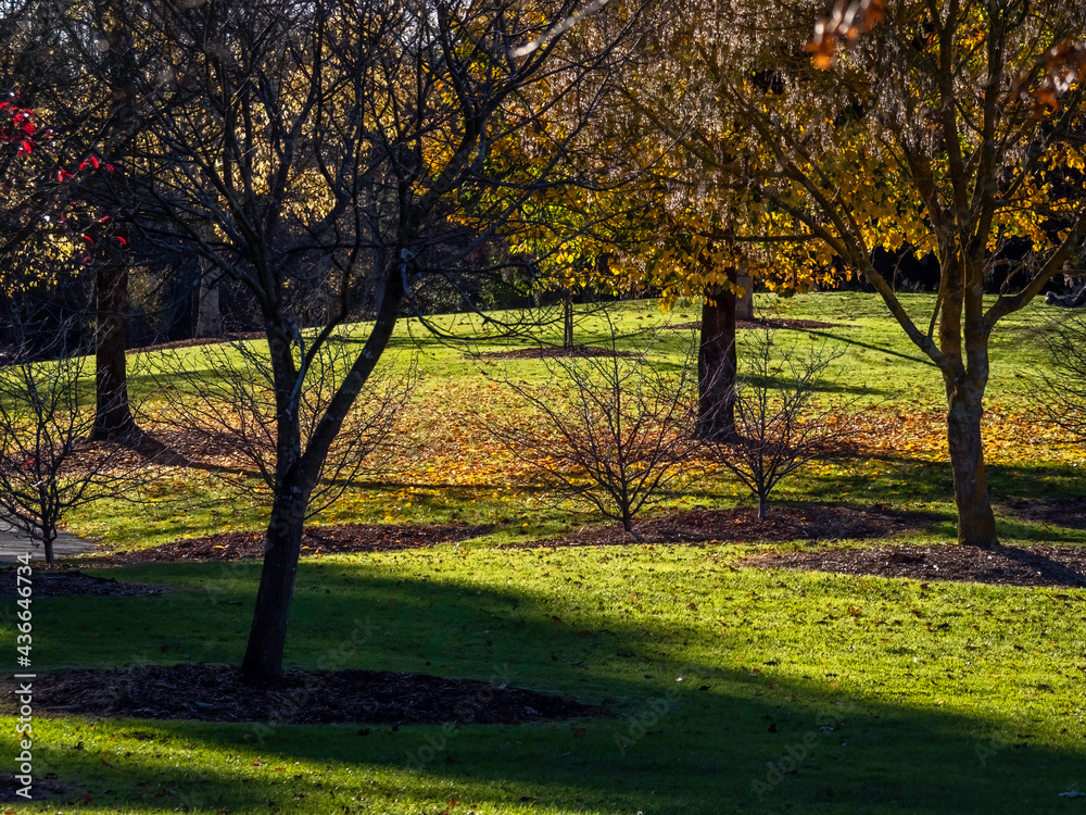 Autumn Park