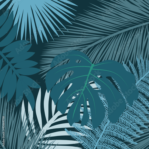 palm leaves background
