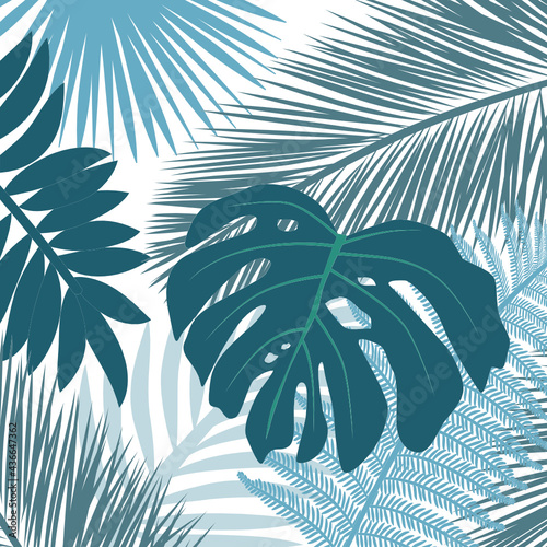 palm leaves background