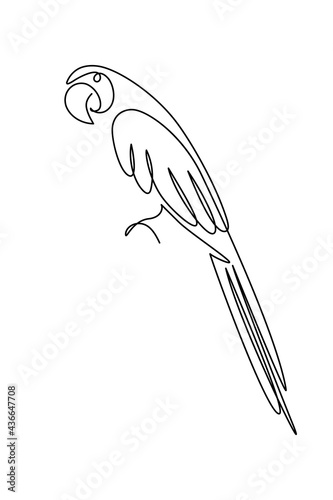 Parrot bird in continuous line art drawing style. Macaw parrot sitting minimalist black linear sketch isolated on white background. Vector illustration