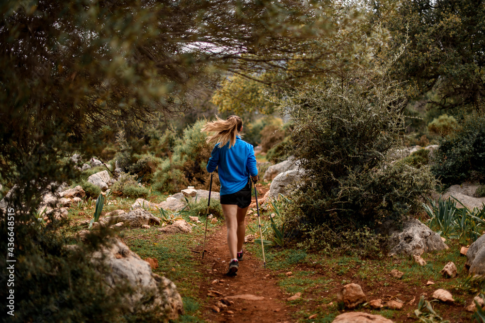 rear view of woman with trekking poles walking along path along bushes and stones rear view of woman with trekking poles walking along path along bushes and stones