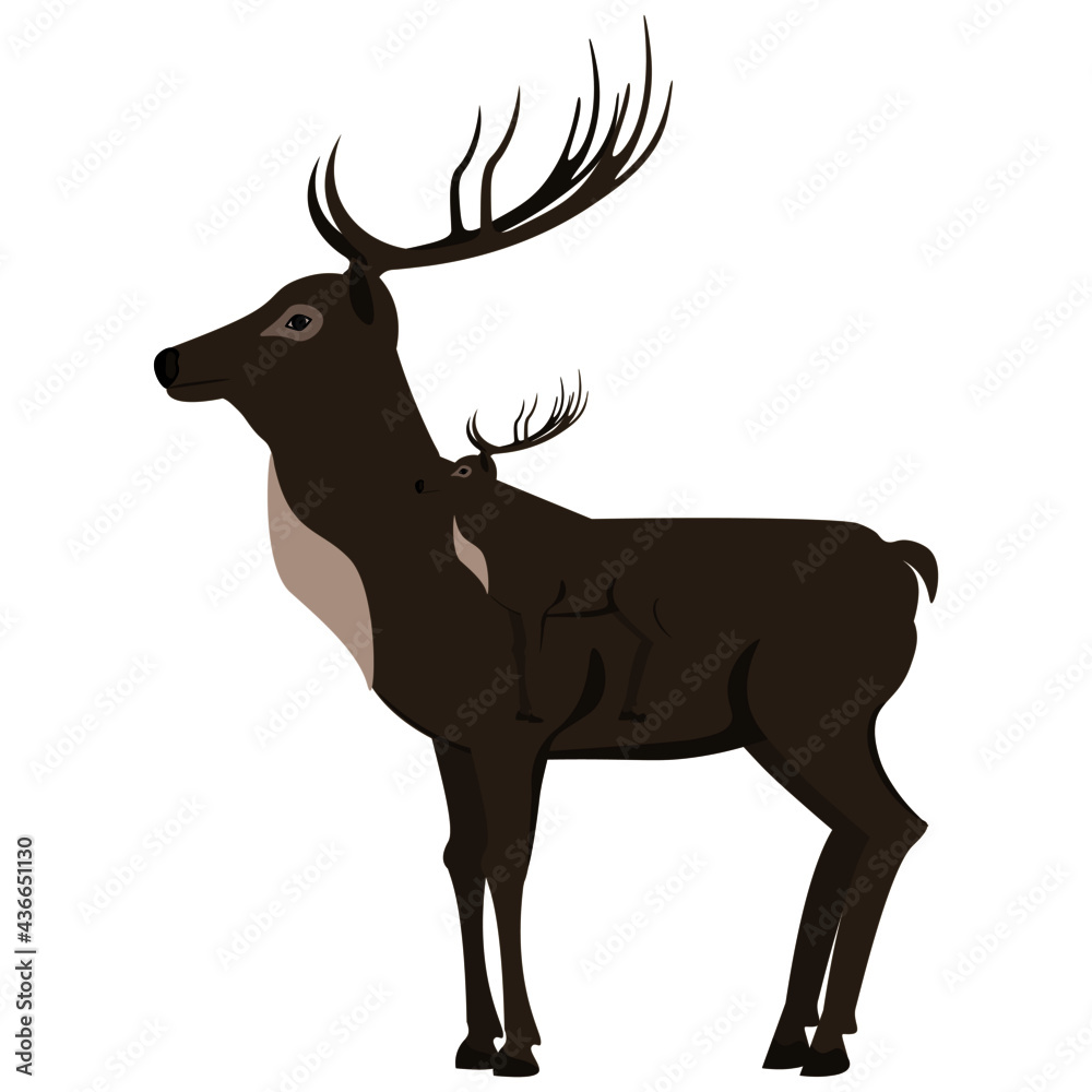 Sambar deer side view illustration vector file for wildlife cartoons and  animation Stock Vector | Adobe Stock