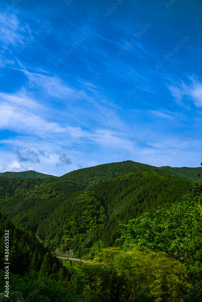初夏の檜原村　山　風景