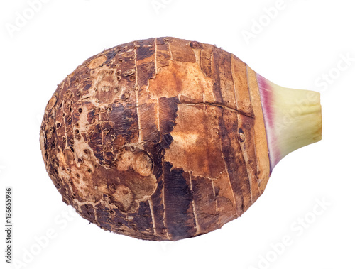 Taro isolated on white background
