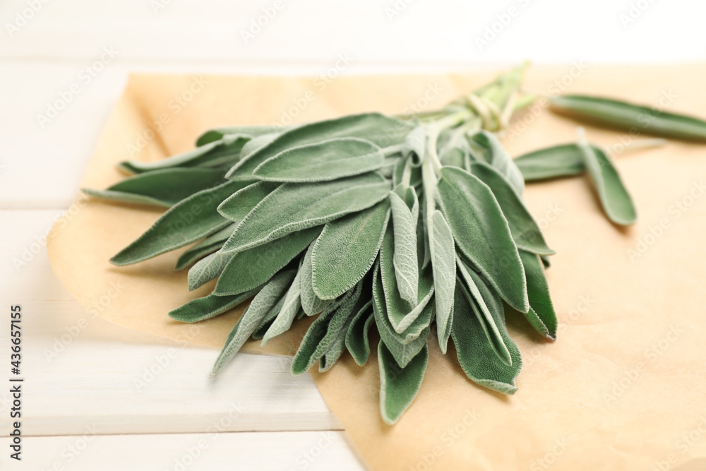Bunch of fresh green sage with parchment on white wooden table, closeup Bunch of fresh green sage with parchment on white wooden table, closeup
