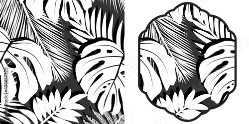 palm leaves background