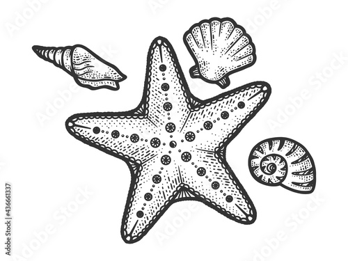 starfish and seashells line art sketch engraving vector illustration. T-shirt apparel print design. Scratch board imitation. Black and white hand drawn image.