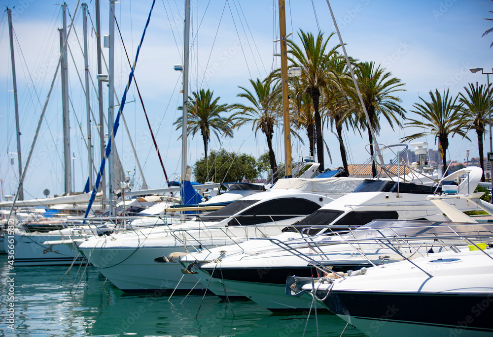 Fototapeta premium yatchs docked on a marina in Southern Spain