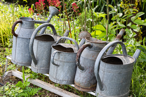 old watering cans lined up in a garden
