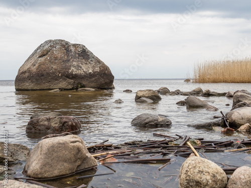 Low tide of water in the bay. A huge stone in the water. Beach of stones on the shore. Broken branches and stones in the foreground. Skyline. Beautiful landscape photography with water. Overcast