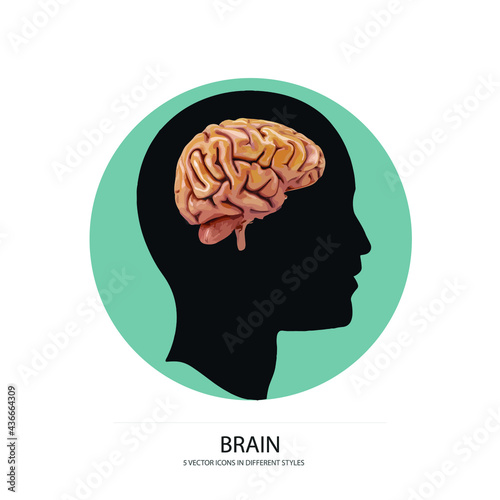 brain vector type icon