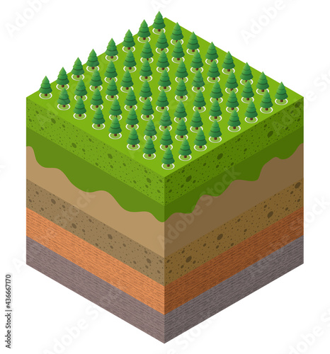 Forest farm Soil layers geological and underground