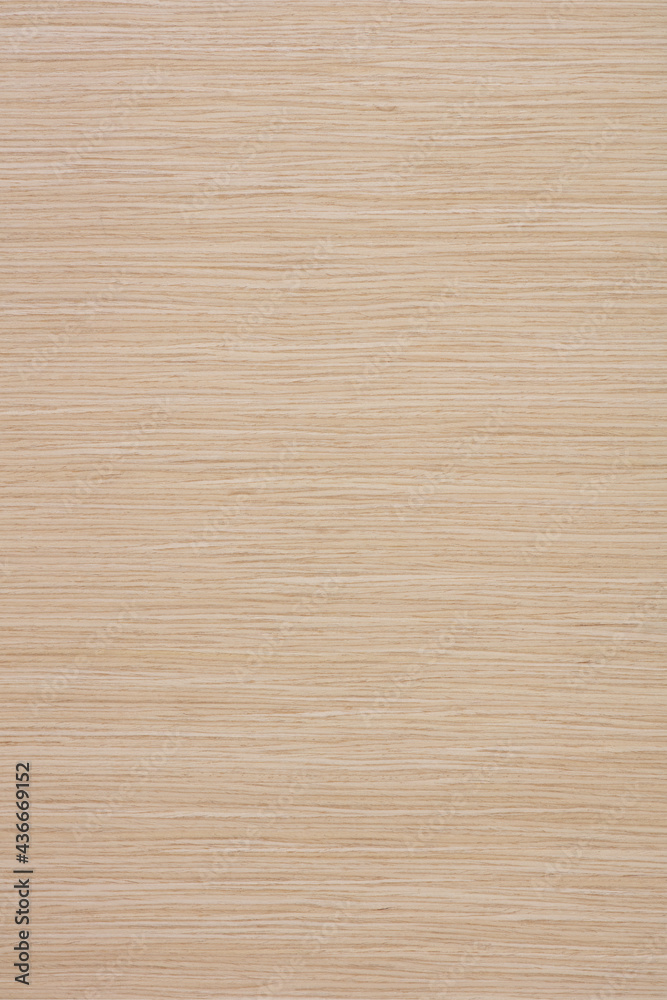Alpi Oak veneer background in light color, texture for your classic interior. Alpi Oak veneer background in light color, texture for your classic interior.