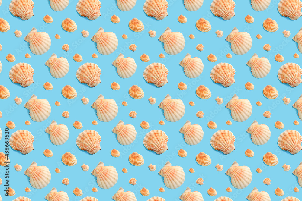 Colorful pattern seashells on a blue background. Summer pattern. Colorful pattern seashells on a blue background. Summer pattern.