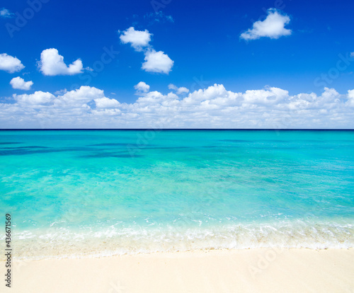 Fototapeta Naklejka Na Ścianę i Meble -  tropical Maldives island with white sandy beach and sea