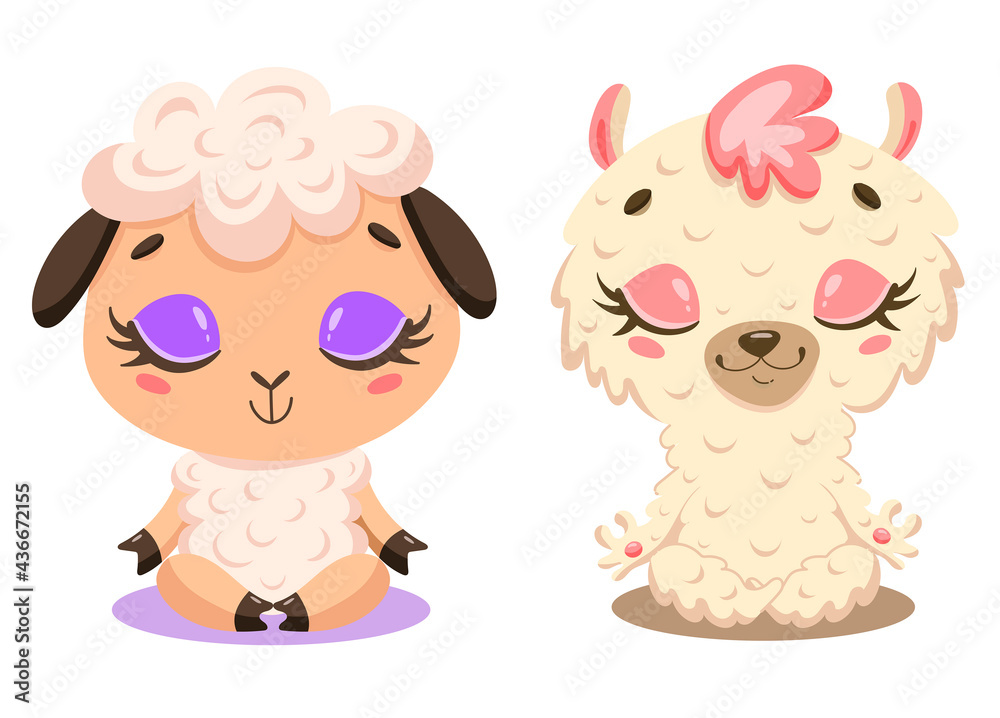 Fototapeta premium Flat vector illustration of cute cartoon sheep and llama meditation. Farm animals yoga.