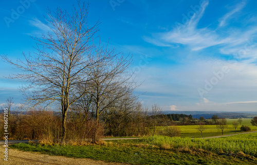 German countryside. Trees and blue sky