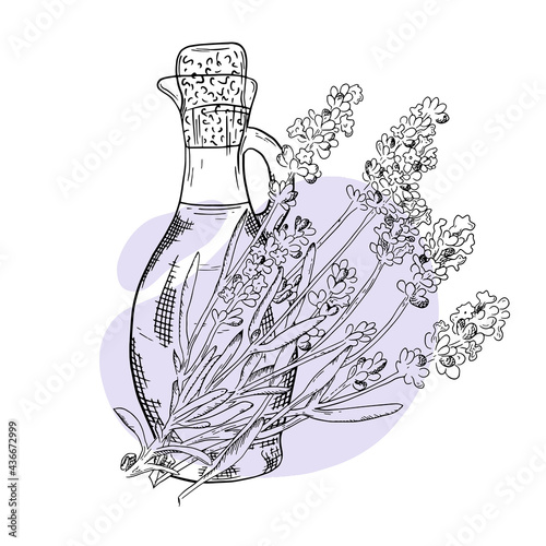 Sprig lavender hand drawn sketch. Bottle with lavender essential oil. Cosmetic, perfumery and medical plant. Vector illustration. Can be used for cosmetics, brochures, banners, labels.