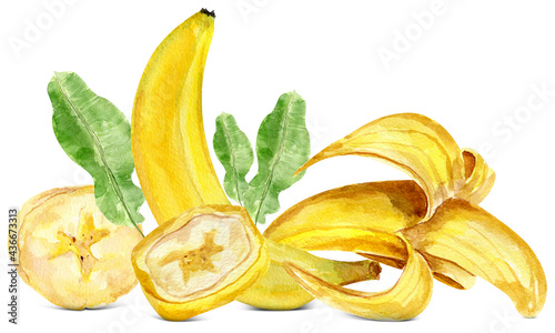 Banana elements watercolor collage. Template for decorating designs and illustrations. 