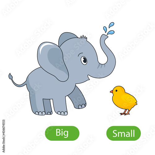 A large gray elephant and a small chicken. the concept of children's learning of opposite adjectives Big and Small.