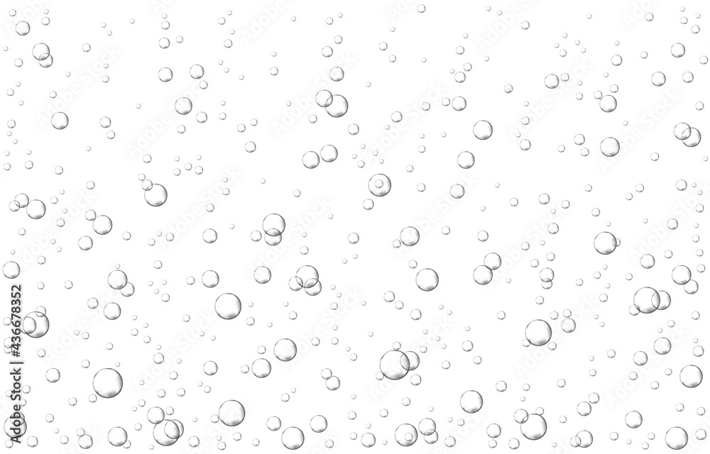 Oxygen air bubbles  flow  in water on white  background.